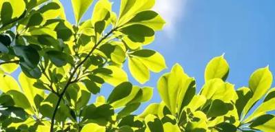 陜西省實(shí)現(xiàn)省市縣三級(jí)志愿服務(wù)聯(lián)合會(huì)全覆蓋