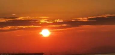 給爸媽買別只看價格，安全和吸收才是第一位，磷蝦油選購推薦