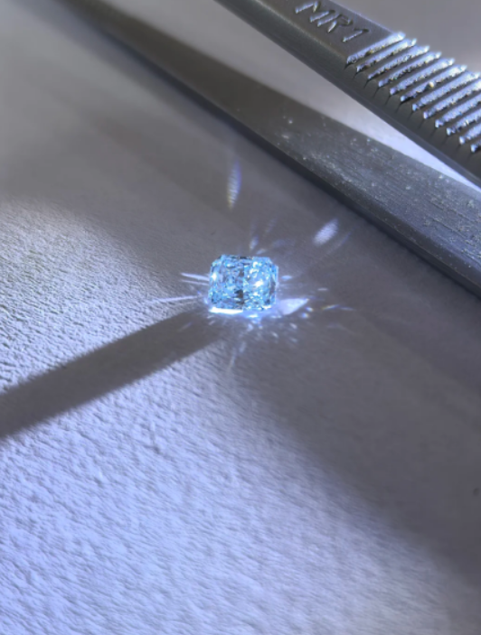 202602251631538017.jpg 3.jpg