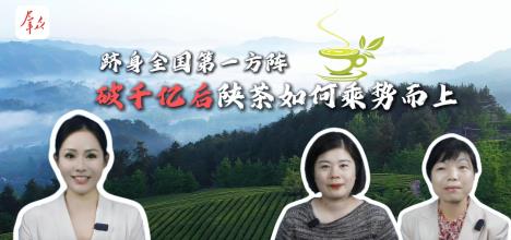 破千億后，陜茶如何乘勢(shì)而上？